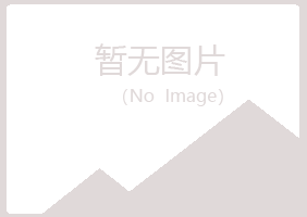 平阳县白山能源有限公司